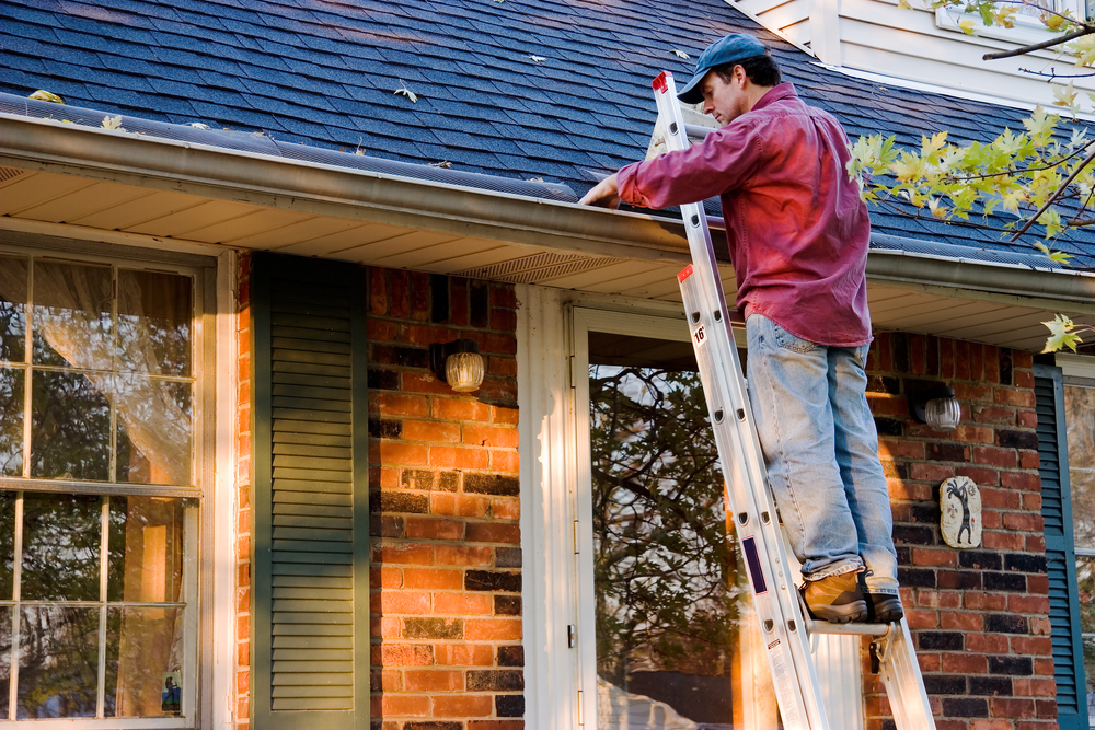 roof spring-ready modern pros